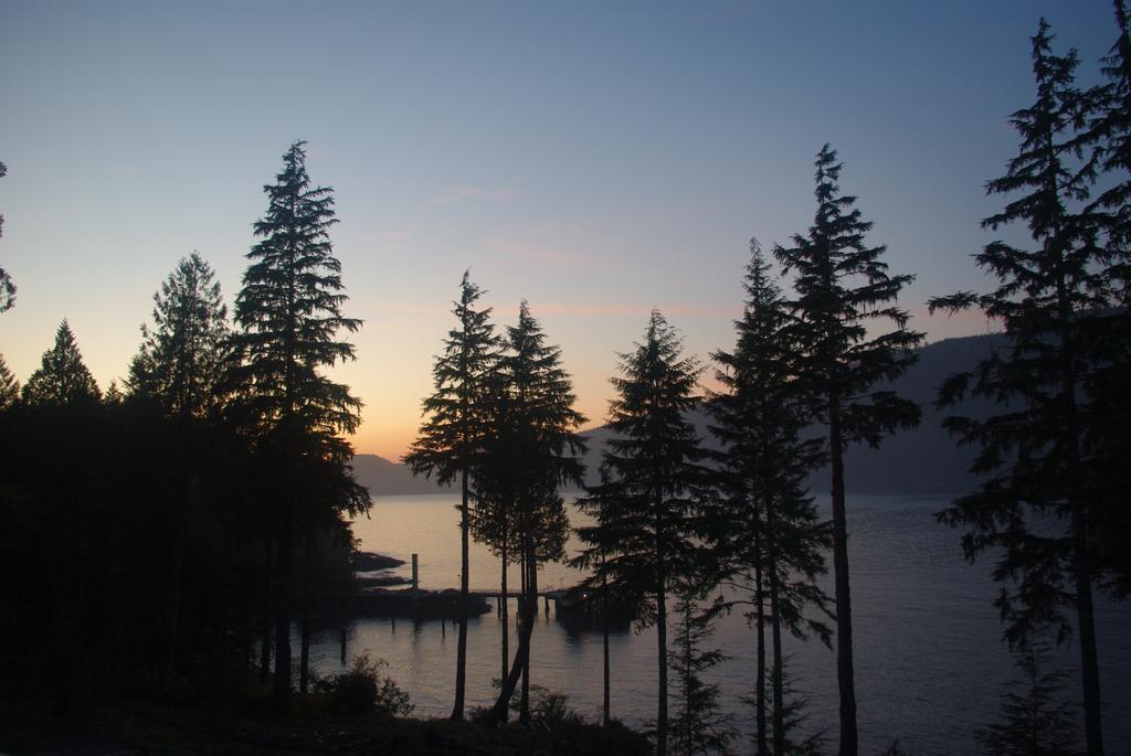 Wild Coast Chalets Port Renfrew Exteriör bild